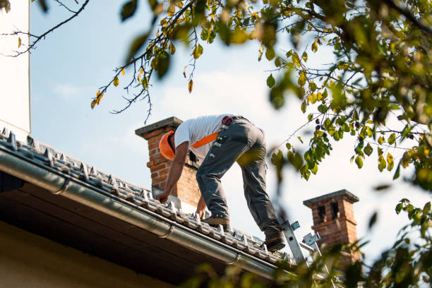 Best Chimney Flashing Repair  in Monticello, AR